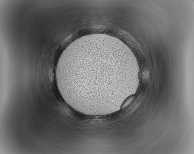 X0000086891204200705141616