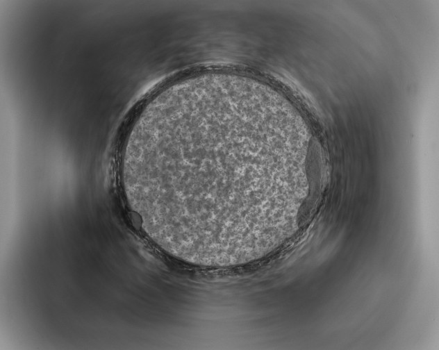 X0000086891208200705141616