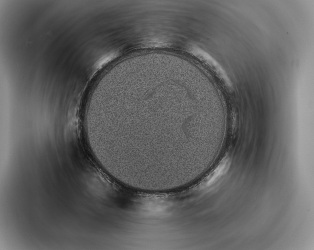 X0000086891210200705141616