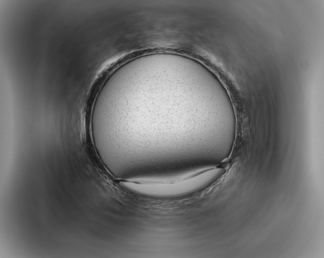 X0000086891214200705141616