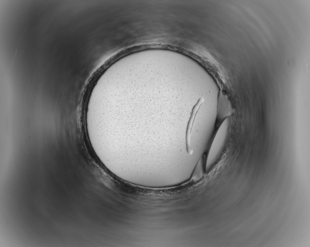 X0000086891216200705141616