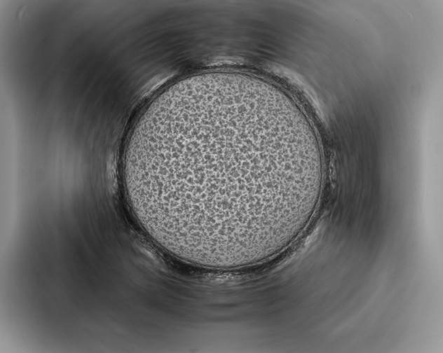 X0000086891217200705141616