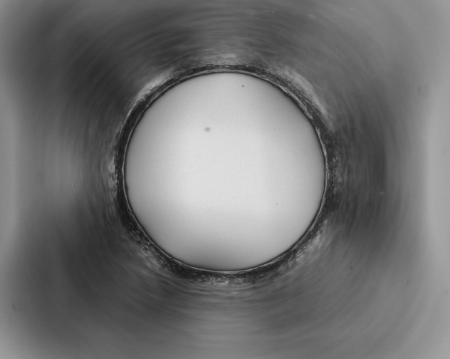 X0000086891218200705141616