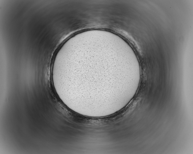 X0000086891220200705141616