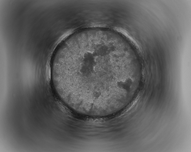 X0000086891221200705141616