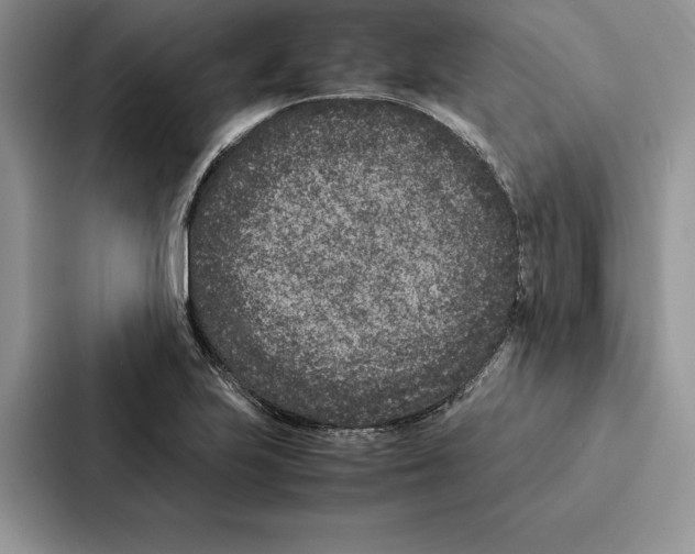 X0000086891223200705141616