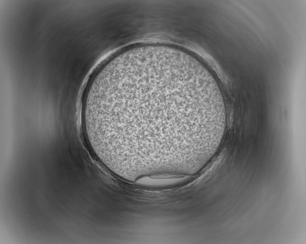 X0000086891224200705141616