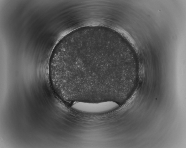 X0000086891226200705141616