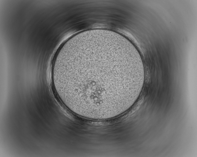 X0000086891227200705141616