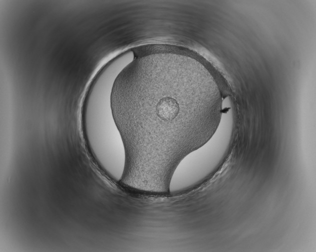 X0000086891230200705141616