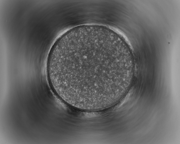 X0000086891231200705141616