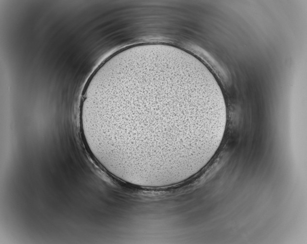 X0000086891236200705141616