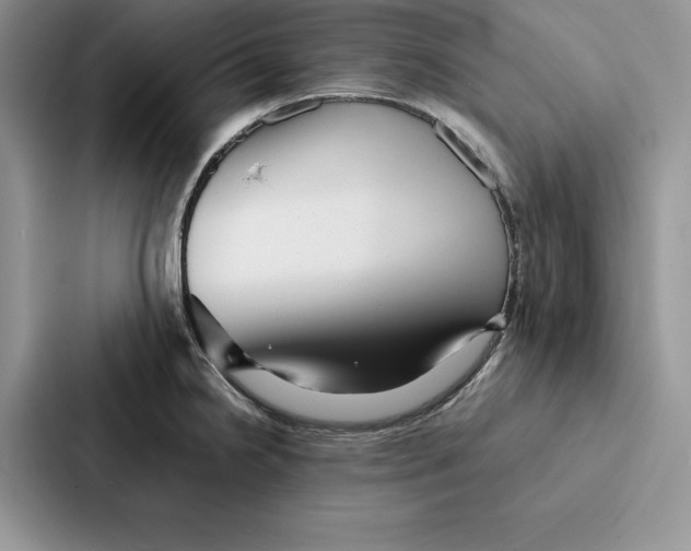 X0000086891238200705141616