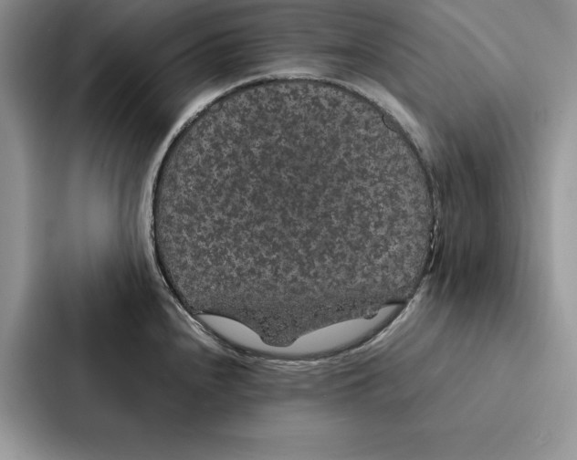 X0000086891240200705141616