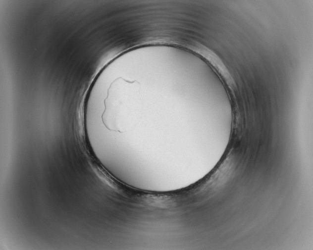 X0000086891242200705141616