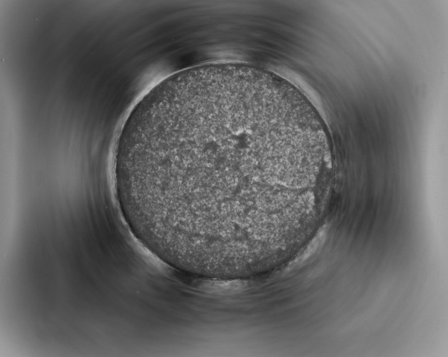 X0000086891243200705141616