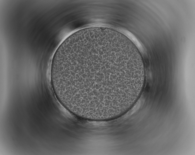 X0000086891244200705141616