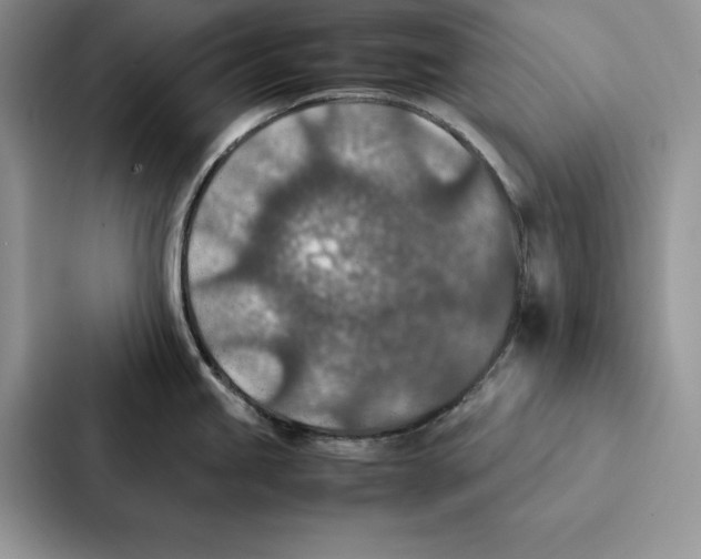 X0000086891245200705141616