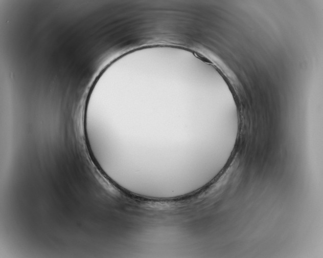 X0000086891246200705141616