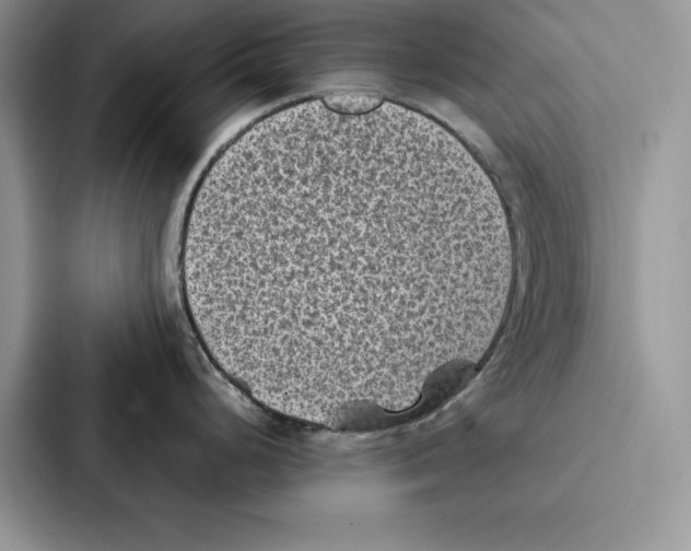 X0000086891248200705141616