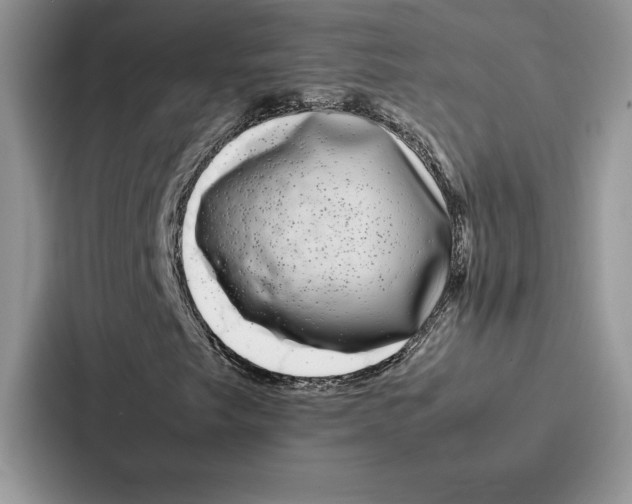 X0000086891249200705141616