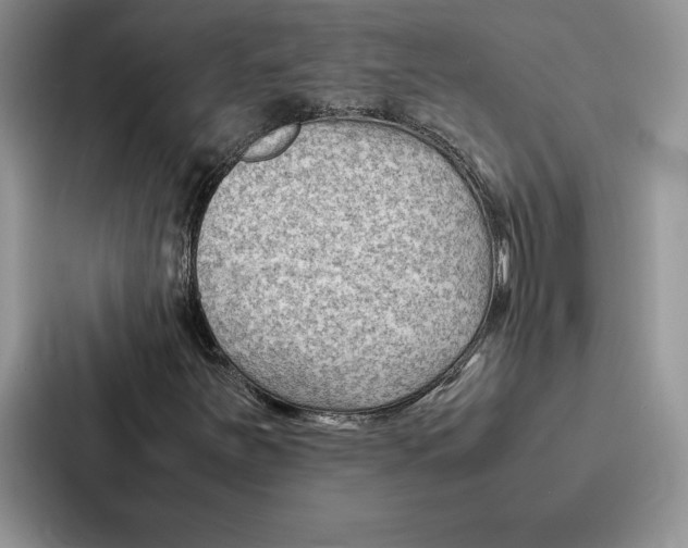 X0000086891251200705141616