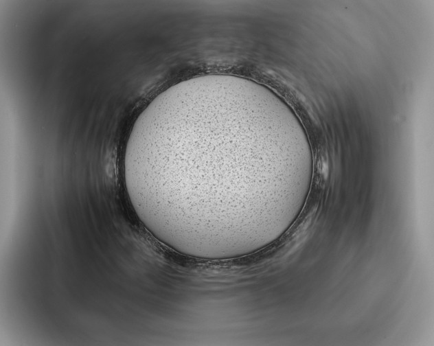 X0000086891252200705141616