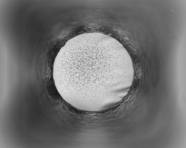 X0000086891253200705141616