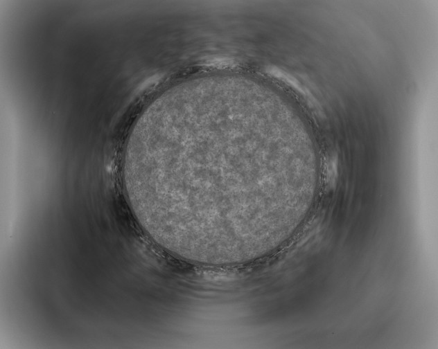 X0000086891254200705141616