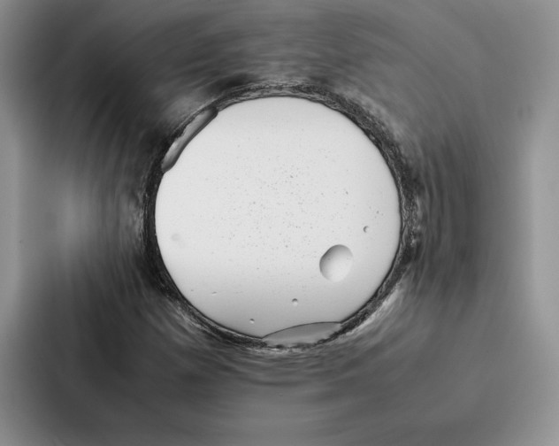 X0000086891257200705141615