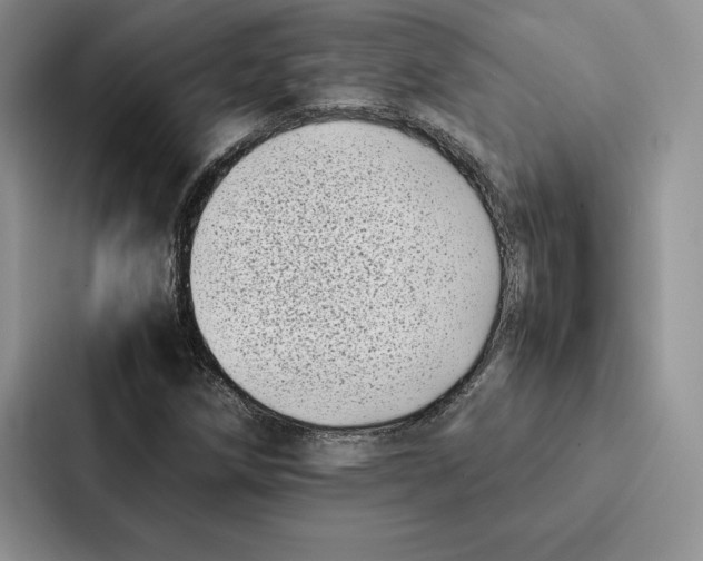 X0000086891258200705141615