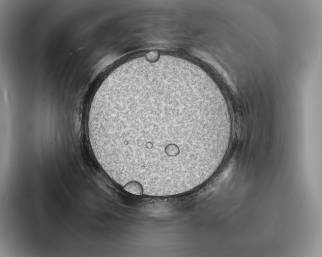 X0000086891259200705141615