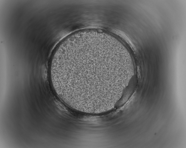 X0000086891260200705141615