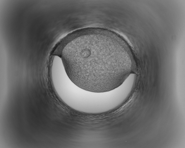 X0000086891263200705141615