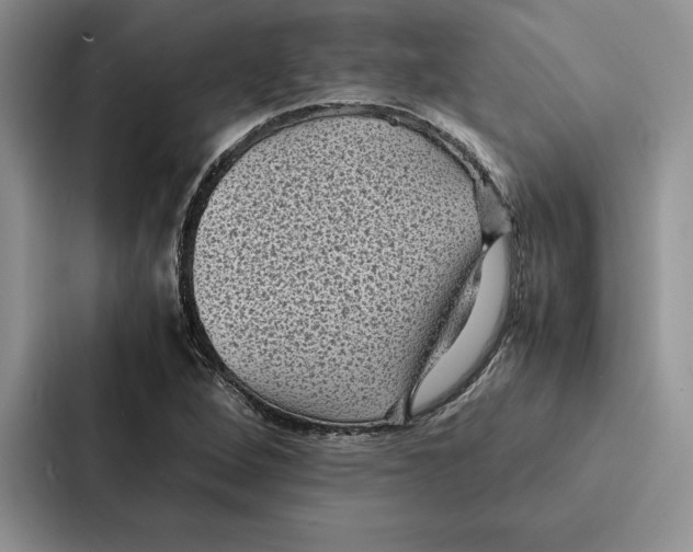 X0000086891264200705141615