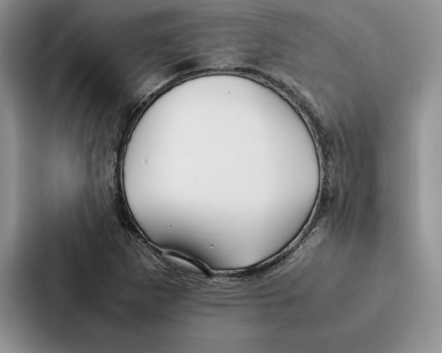 X0000086891265200705141615