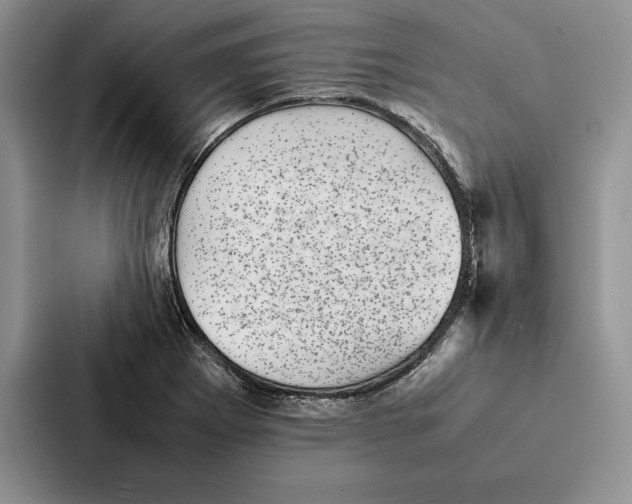 X0000086891273200705141615