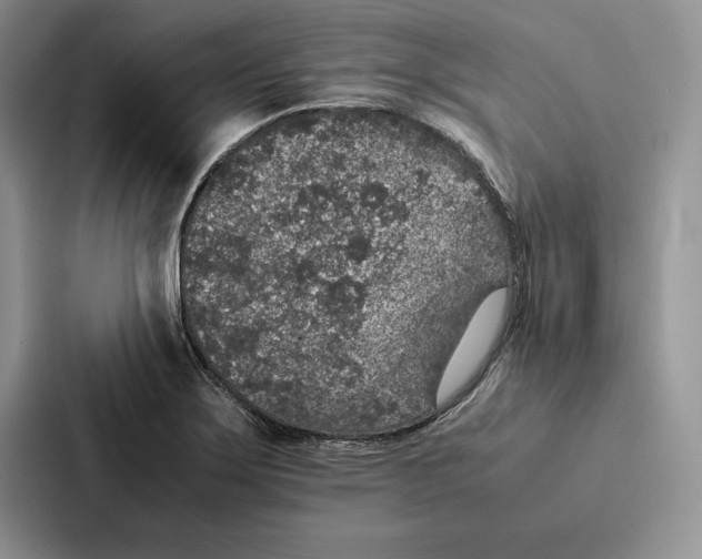 X0000086891275200705141615