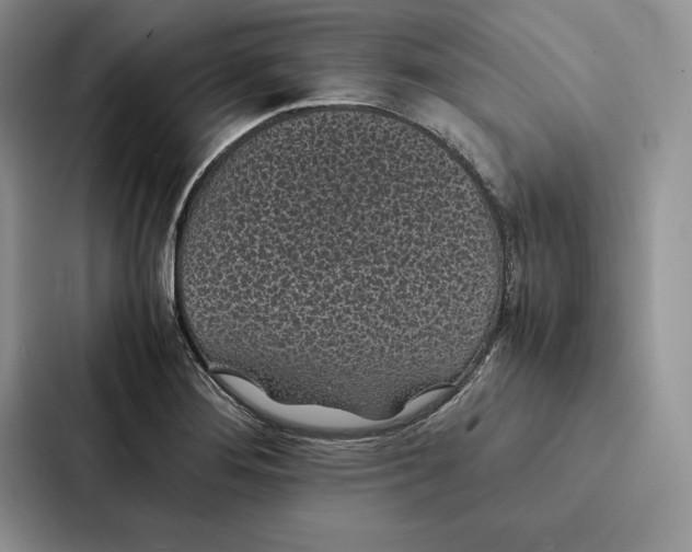 X0000086891276200705141615