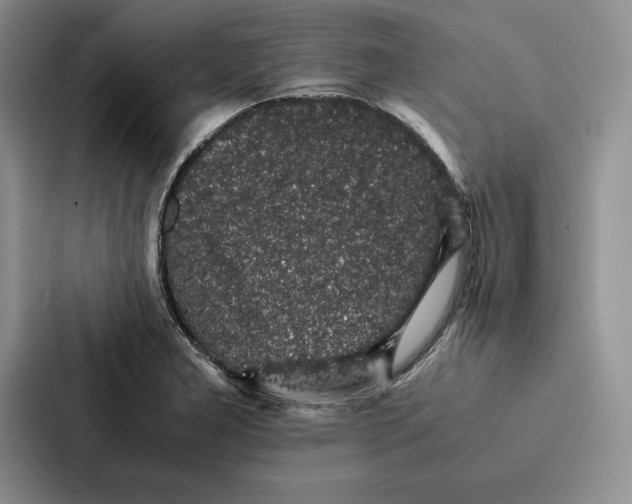 X0000086891277200705141615