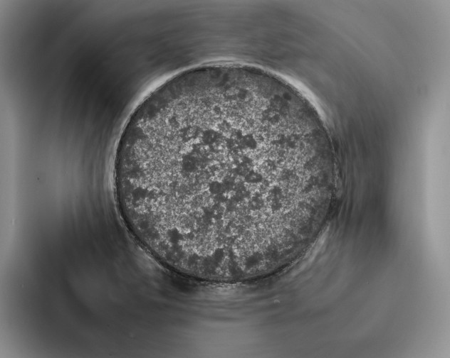 X0000086891279200705141615