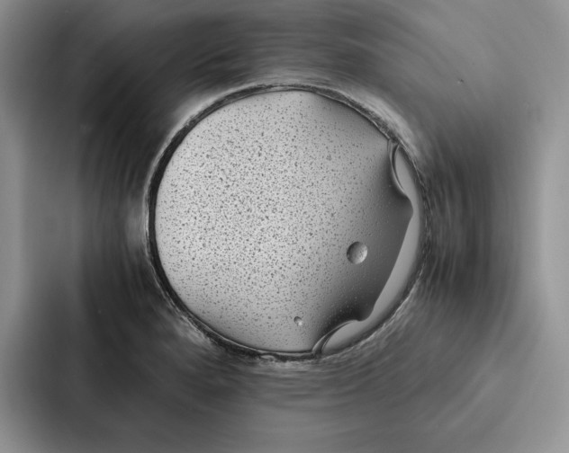 X0000086891280200705141615