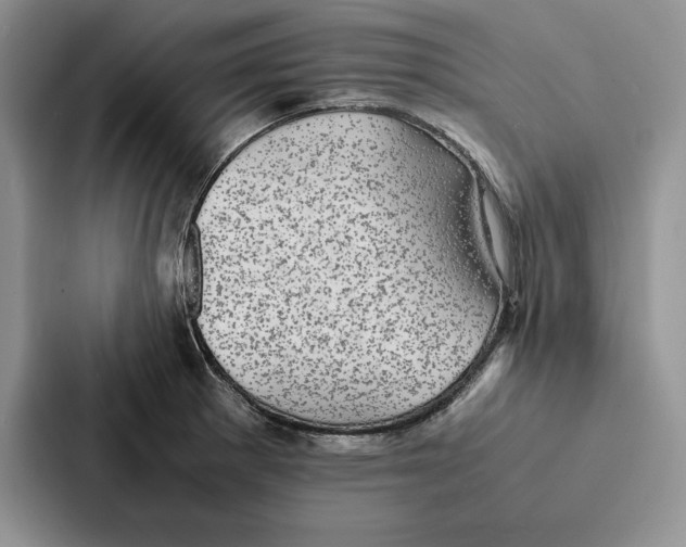 X0000086891281200705141615