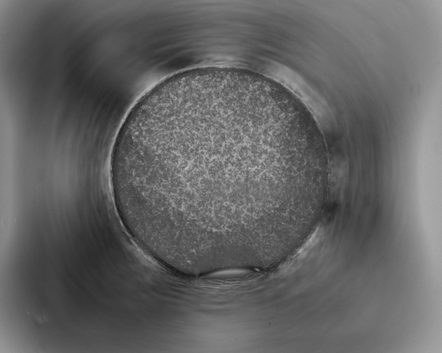 X0000086891283200705141615