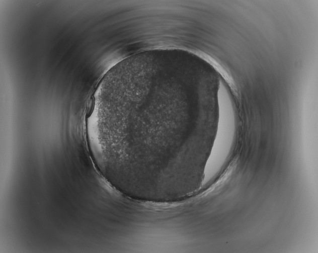 X0000086891289200705141615