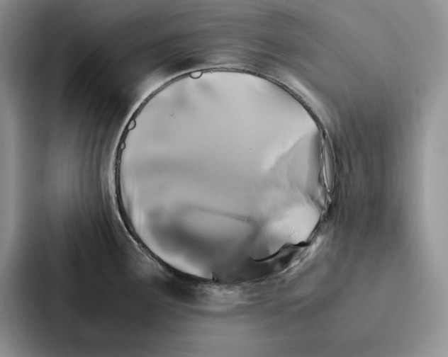 X0000086891291200705141615