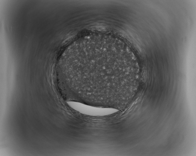 X0000086891297200705141614