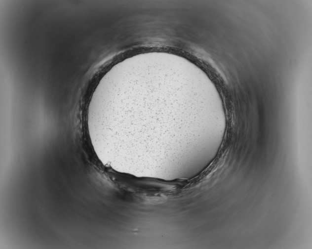 X0000086891304200705141614