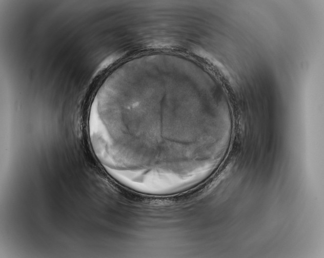 X0000086891306200705141614