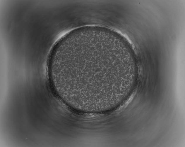 X0000086891311200705141615